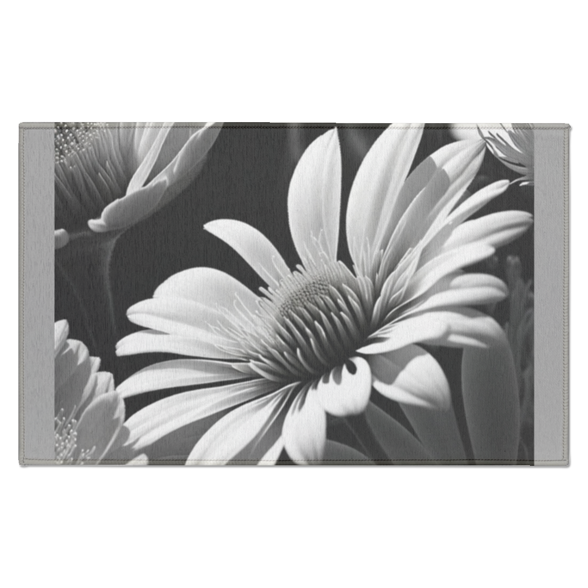 zerbino da esterno ir R3220